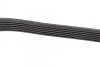 Ремінь п-клинової 6pk2130 (вир-во Bosch) BOSCH 1 987 946 043 (фото 3)
