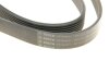 Ремінь BOSCH 1987946251 (фото 6)