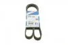 Ремінь п-клинової 6PK1256 (вир-во Bosch) BOSCH 1 987 947 887 (фото 1)