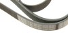 Ремінь п-клинової 6pk1840 BOSCH 1 987 947 984 (фото 5)