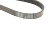 Ремінь полікліновий BOSCH 1987948366 (фото 6)