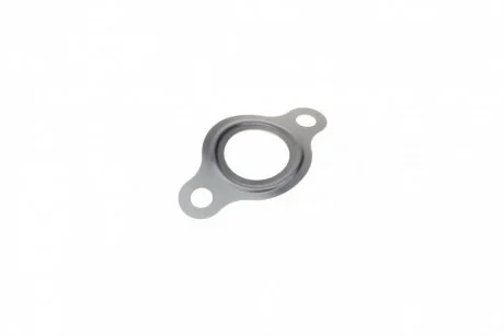 Плоске ущільнення (вир-во Bosch) BOSCH F 00R 0P1 466