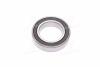 Підшипник генератора (Complex) COMPLEX AUTOMOTIVE BEARINGS Sp.z.o.o. 6009-2RS (фото 1)