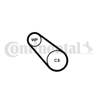 Комплект ремня грм + помпа Contitech 3PK576ELASTWP1