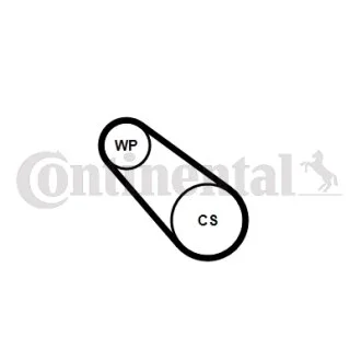 Комплект ремня грм + помпа Contitech 3PK576ELASTWP1