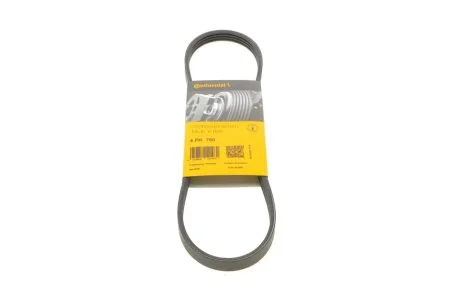 Ремінь Contitech 4PK750