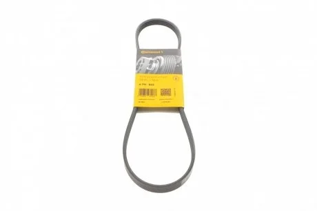 Ремінь поліклиновий Subaru Legasy 2,0i 2,5i 03>09 Contitech 4PK845