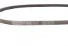 Ремінь поликлиновый (Ви-во ContiTech) Contitech 4PK920 (фото 2)
