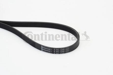 Пас привідний з довжиною кола понад 240см Contitech 5PK1245