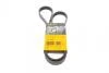 Ремінь поліклиновий (Вир-во ContiTech) 5PK1300