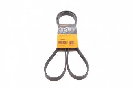 Ремінь Contitech 5PK1646