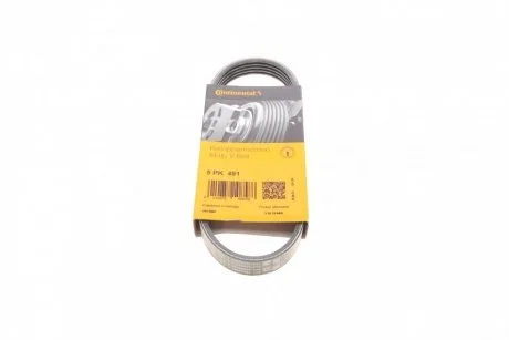 Ремінь Contitech 5PK491