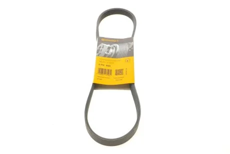 Ремінь поліклиновий (Ви-во ContiTech) Contitech 5PK869
