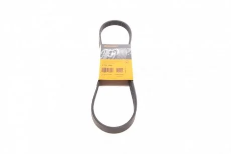 Ремінь поліклиновий (Ви-во ContiTech) Contitech 5PK906