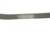Ремінь Contitech 6PK1019ELAST (фото 3)