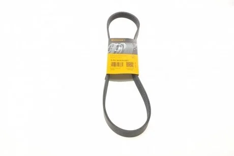 Ремінь полікліновий (Ви-во ContiTech) Contitech 6PK1019ELAST