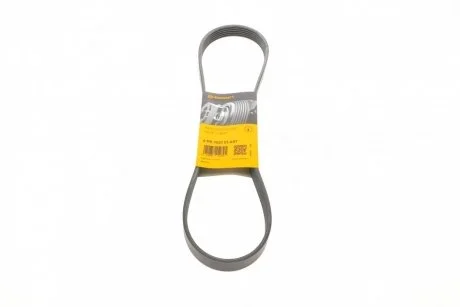 Ремінь поліклиновий (Ви-во ContiTech) Contitech 6PK1033ELAST