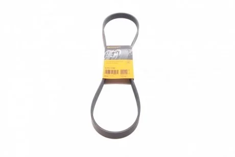 Ремінь поліклиновий (Ви-во ContiTech) Contitech 6PK1145