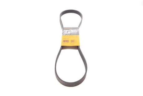 Поліклиновий ремінь Conti Contitech 6PK1173