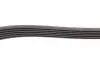 Поликлиновий ремінь CITROEN C4 II (B7) 2.0 Hdi 11/09- (Ви-во) Contitech 6PK1244 (фото 3)