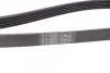 Ремінь поликлиновый (Ви-во ContiTech) Contitech 6PK1580 (фото 3)