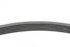 Ремінь поликлиновый (Ви-во) Contitech 6PK1600 (фото 2)