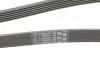 Ремінь поліклиновий Skoda Rapid 1,2i 12> ContiTech Contitech 6PK1870 (фото 3)