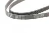 Ремінь поликлиновый (Ви-во ContiTech) Contitech 6PK2285 (фото 3)