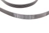 Поліклиновий ремінь Conti Contitech 6PK2498 (фото 3)