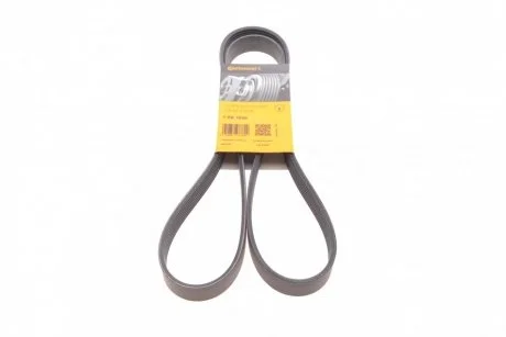 Ремінь поликлиновый (Ви-во ContiTech) Contitech 7PK1605