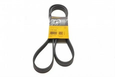 Ремінь поліклиновий (Пр-во ContiTech) Contitech 7PK1629