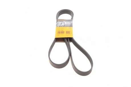 Ремінь поліклиновий (Ви-во ContiTech) Contitech 7PK1795