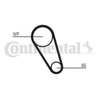 Комплект ременя ГРМ + Помпа Contitech CT1169WP3