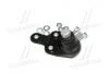 Опора кульова нижня L Ford C-Max 10- Focus 10- Transit Connect 14-22 OLD CBF-49L (вир-во) CTR CB0544L (фото 3)