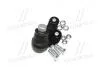 Опора кульова нижня L Ford C-Max 10- Focus 10- Transit Connect 14-22 OLD CBF-49L (вир-во) CTR CB0544L (фото 4)