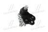 Опора кульова нижня Jeep Compass 17-21 CTR CB0558 (фото 1)