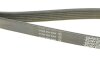Ремінь генератора поліклиновий DAYCO 6PK1360S (фото 3)
