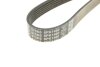 Ремінь DAYCO 6PK1460 (фото 5)