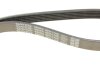 Ремінь DAYCO 6PK1725 (фото 5)