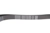 Ремінь поліклиновий DAYCO 6PK1852K (фото 4)