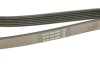 Ремінь DAYCO 6PK2080 (фото 5)