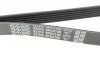 Ремінь поликлин. DAEWOO Musso (FJ) 3.2 (ви-во) DAYCO 6PK2100 (фото 3)