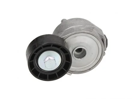 Ролик (вир-во) DAYCO APV2556