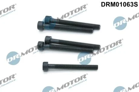 Комплект болтів з головкою системи TORX з чорного металу DR Motor DRM01063S