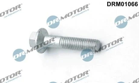 Болт з шестигранним шліцом з чорного металу DR Motor DRM01066