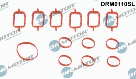 Комплект прокладок гумових DR Motor DRM0110SL