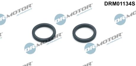 Комплект прокладок гумових DR Motor DRM01134S