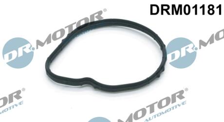 Прокладка двигуна гумова DR Motor DRM01181