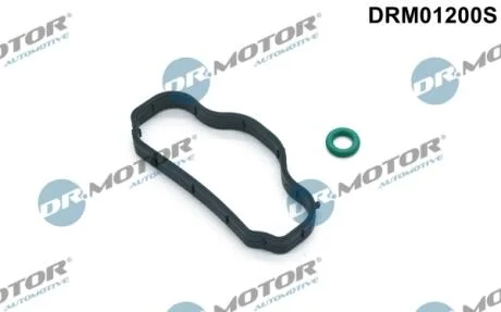 Комплект прокладок гумових DR Motor DRM01200S