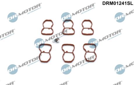 Комплект прокладок гумових DR Motor DRM01241SL